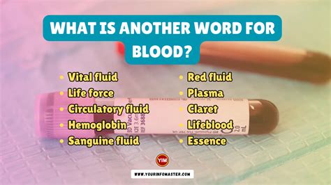 antonyms of blood|alternative word for blood.